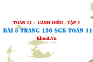 Bài 5 trang 120 SGK Toán 11 tập 1 Cánh Diều